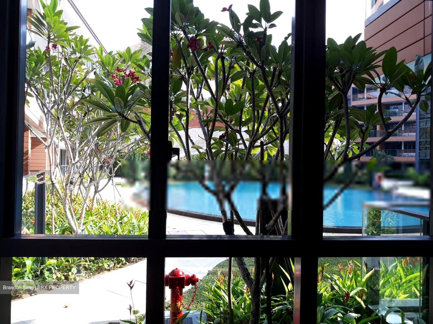 Sophia Hills (D9), Condominium #540778421